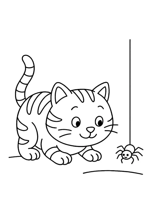 Котенок и паук