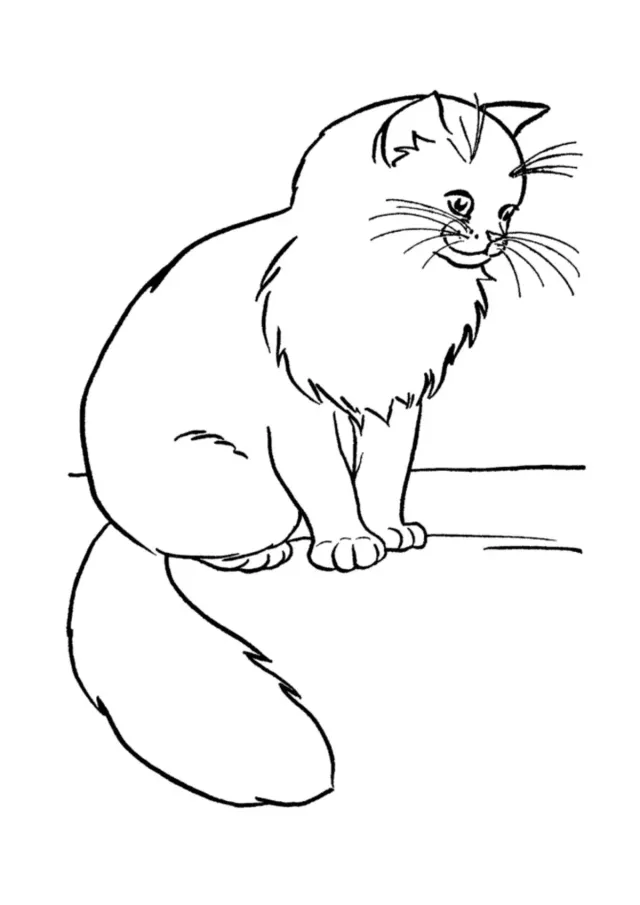 Кошка сидит на дороге
