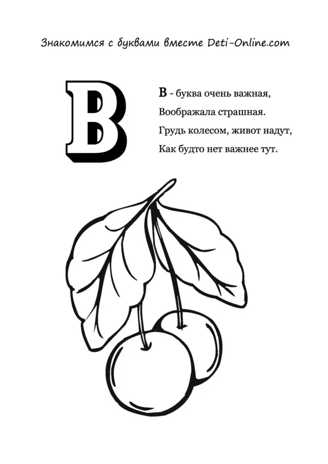 Буква В - Вишни