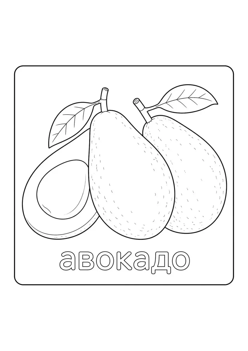 Авокадо