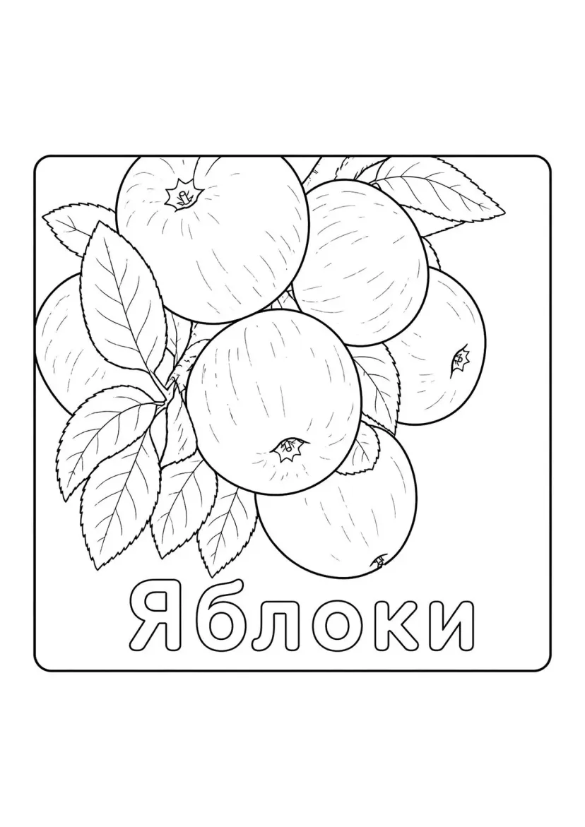 Яблоки на ветке
