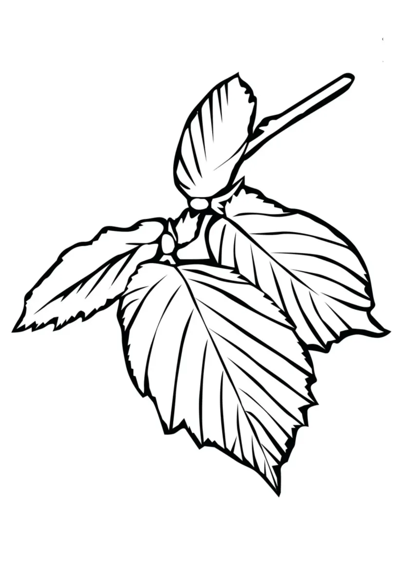 Царский лист