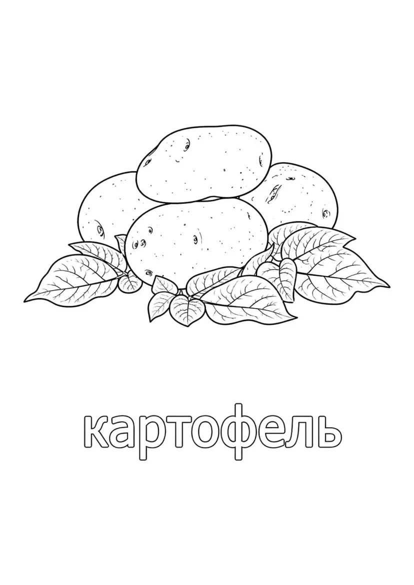 Картошка