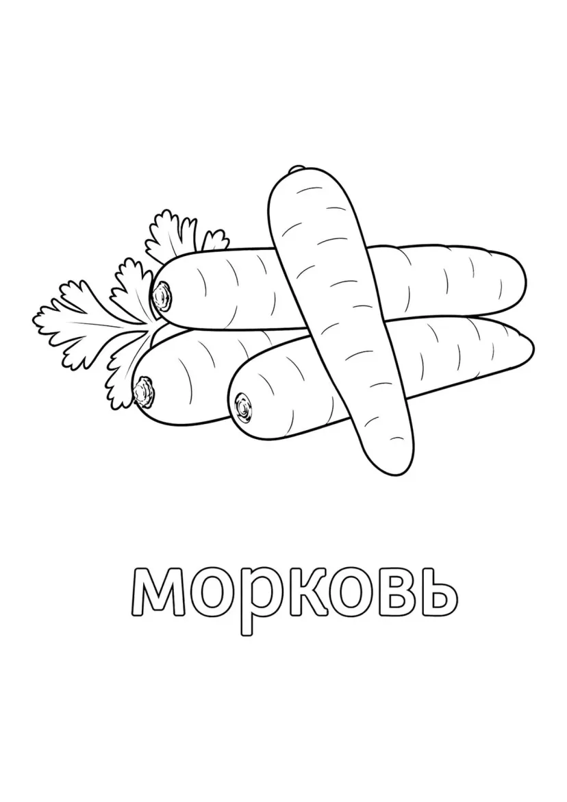 Четыре морковки