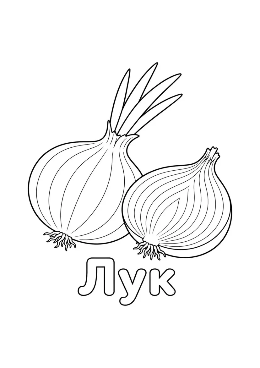 Лук