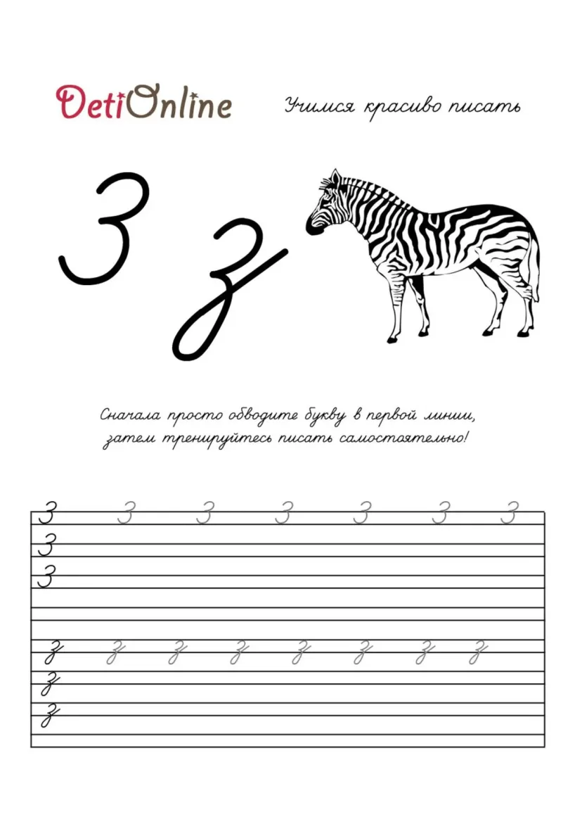 Буква З пропись - Зебра