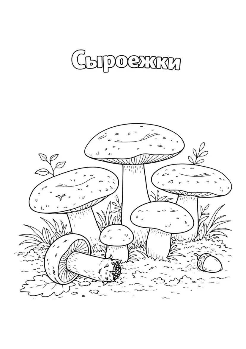 Сыроежки