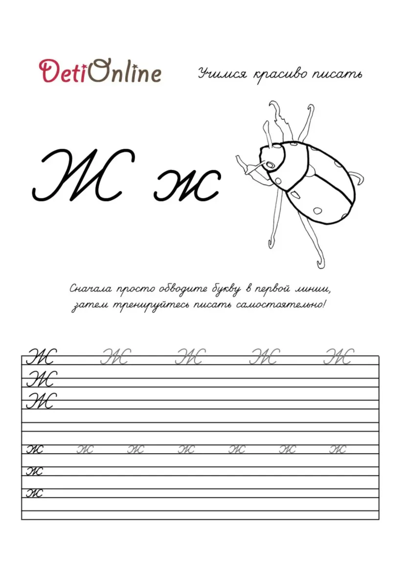 Буква Ж пропись - Жук