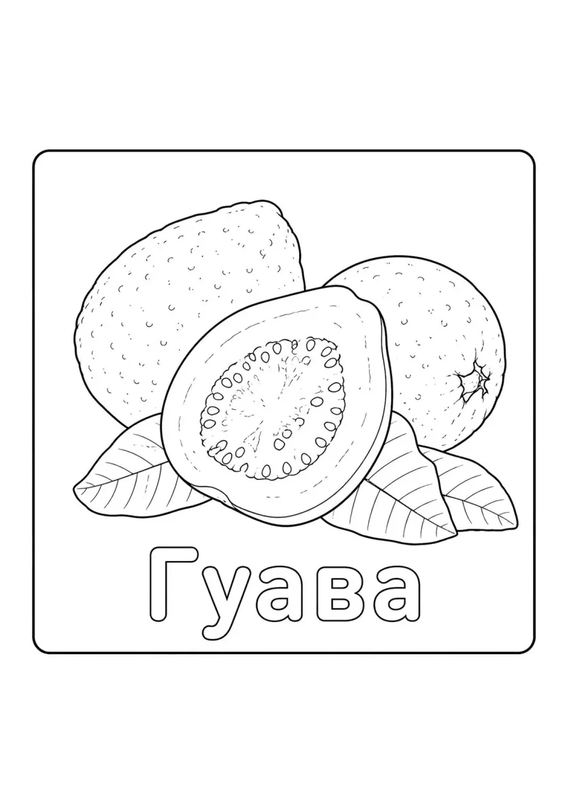 Гуава