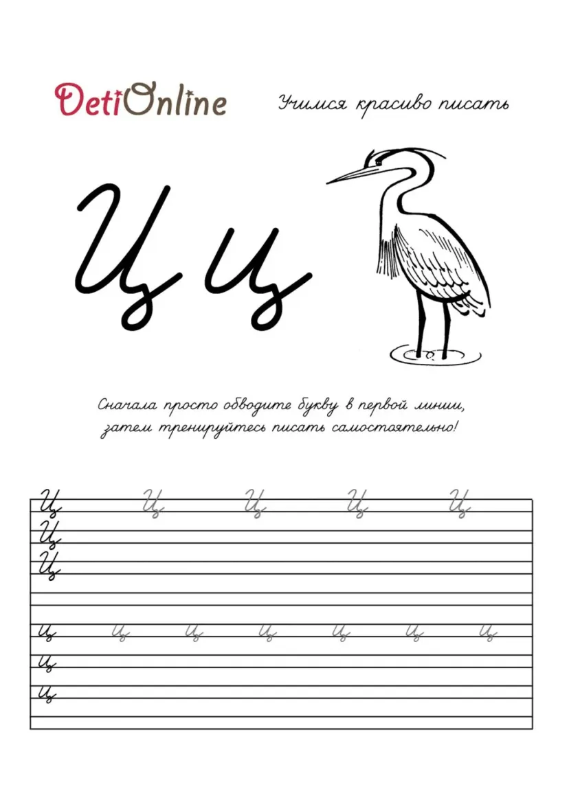 Буква Ц пропись - Цапля