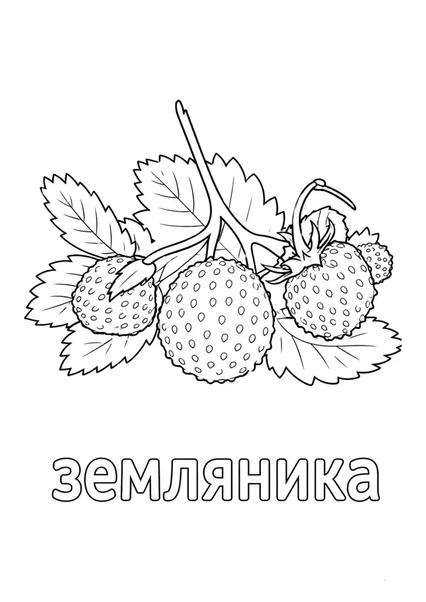 Ягода земляника