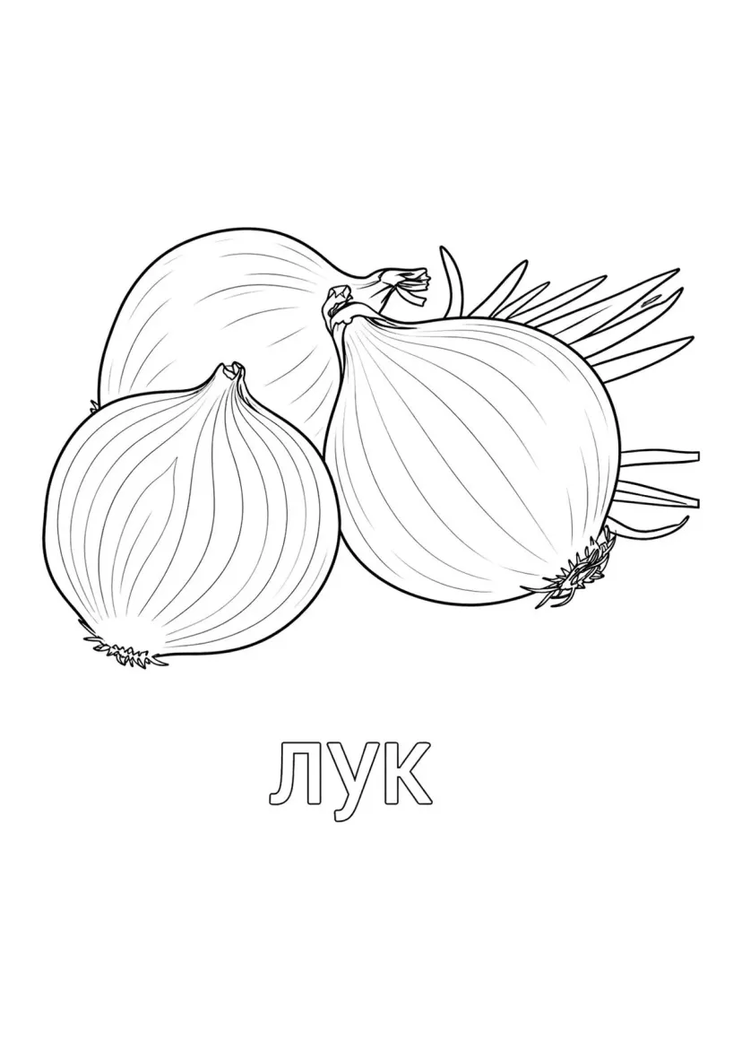 Три луковицы