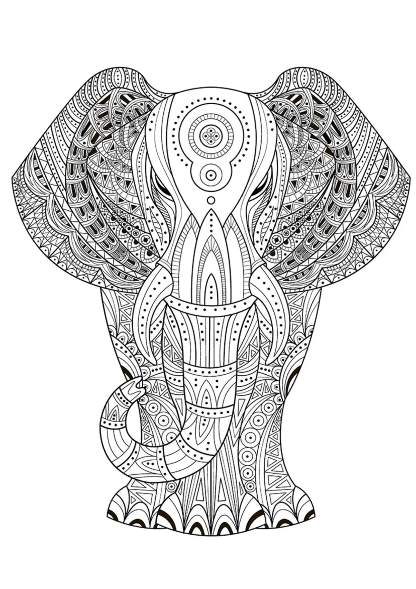 Индийский слон