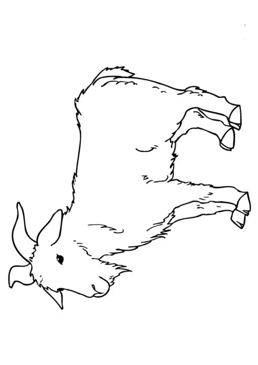 Коза