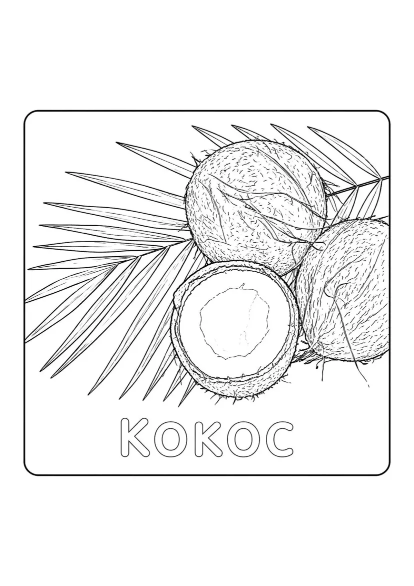 Кокос