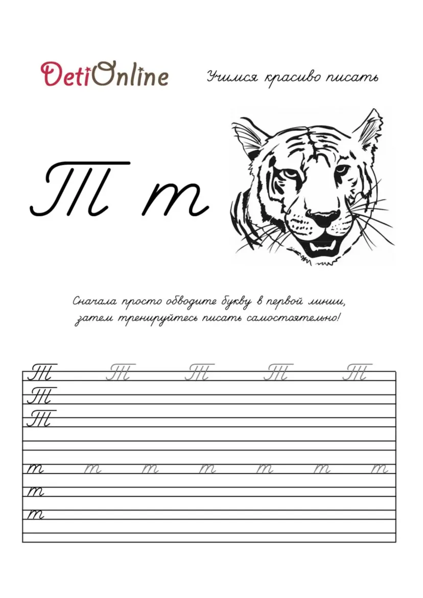 Буква Т пропись - Тигр