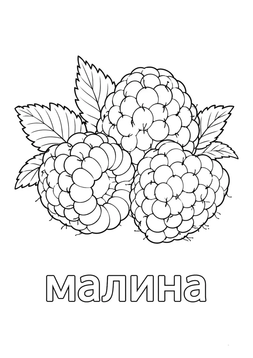 Ягода малина