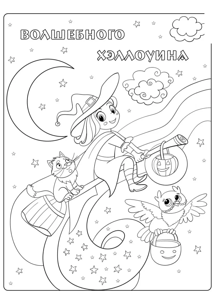 Ведьмочка на метле с котом и совой