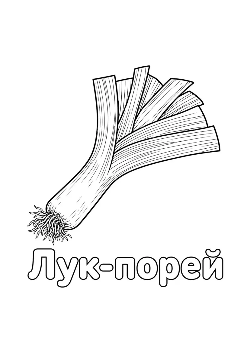 Лук-порей