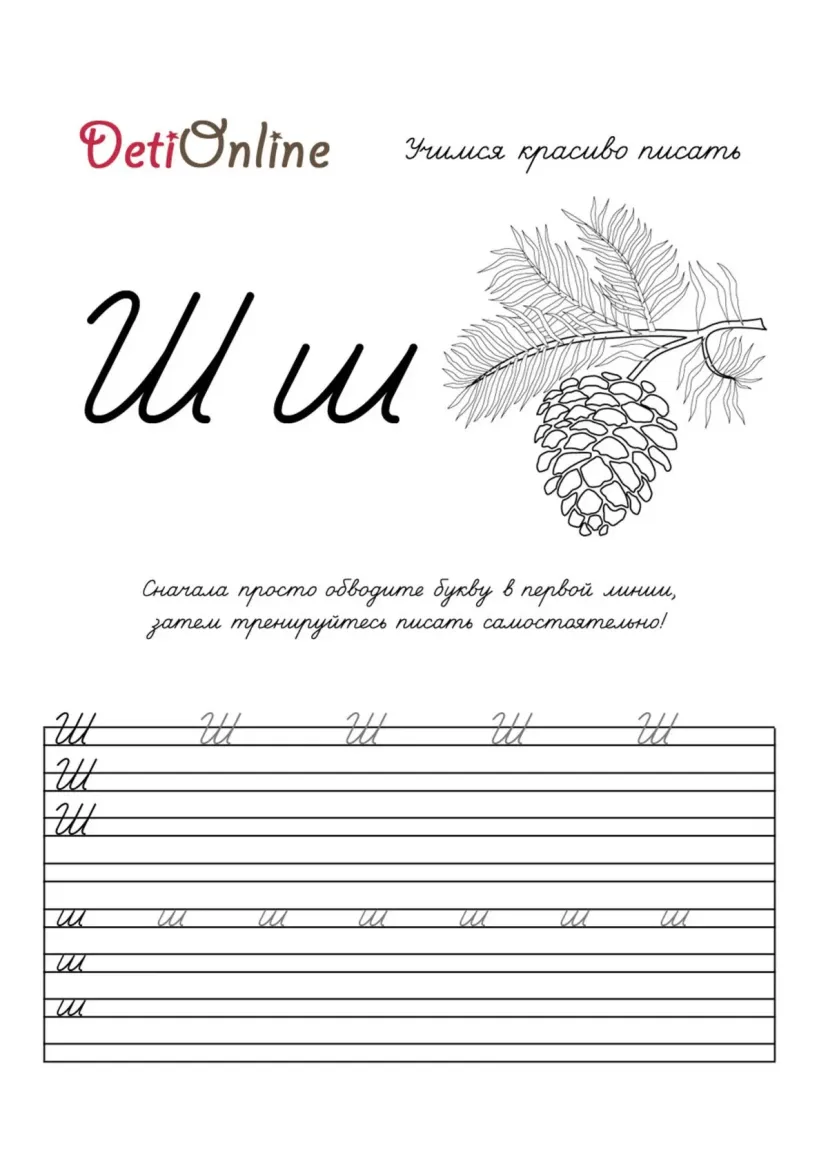 Буква Ш пропись - Шишка
