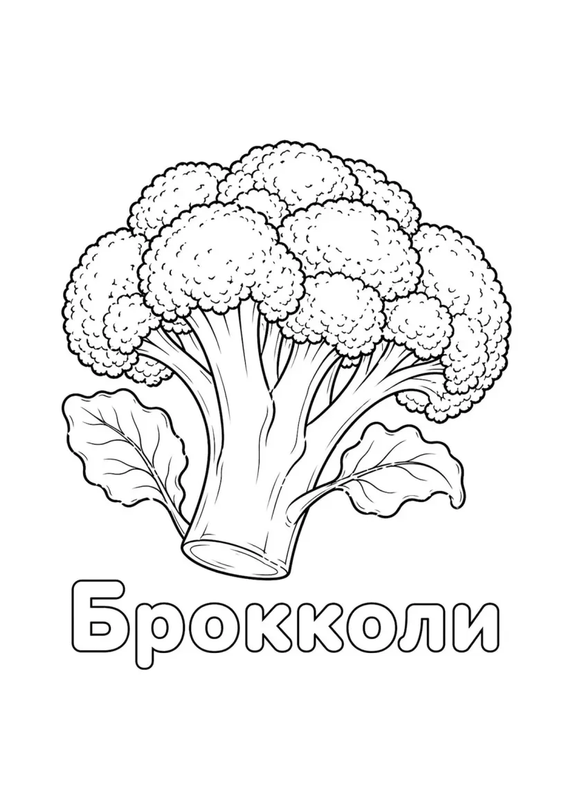 Брокколи