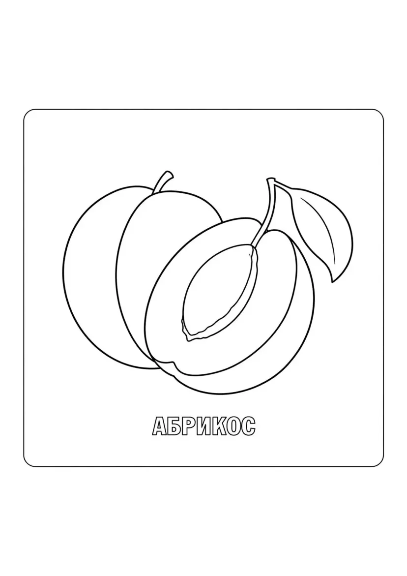Абрикос