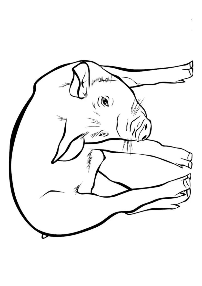 Свинья