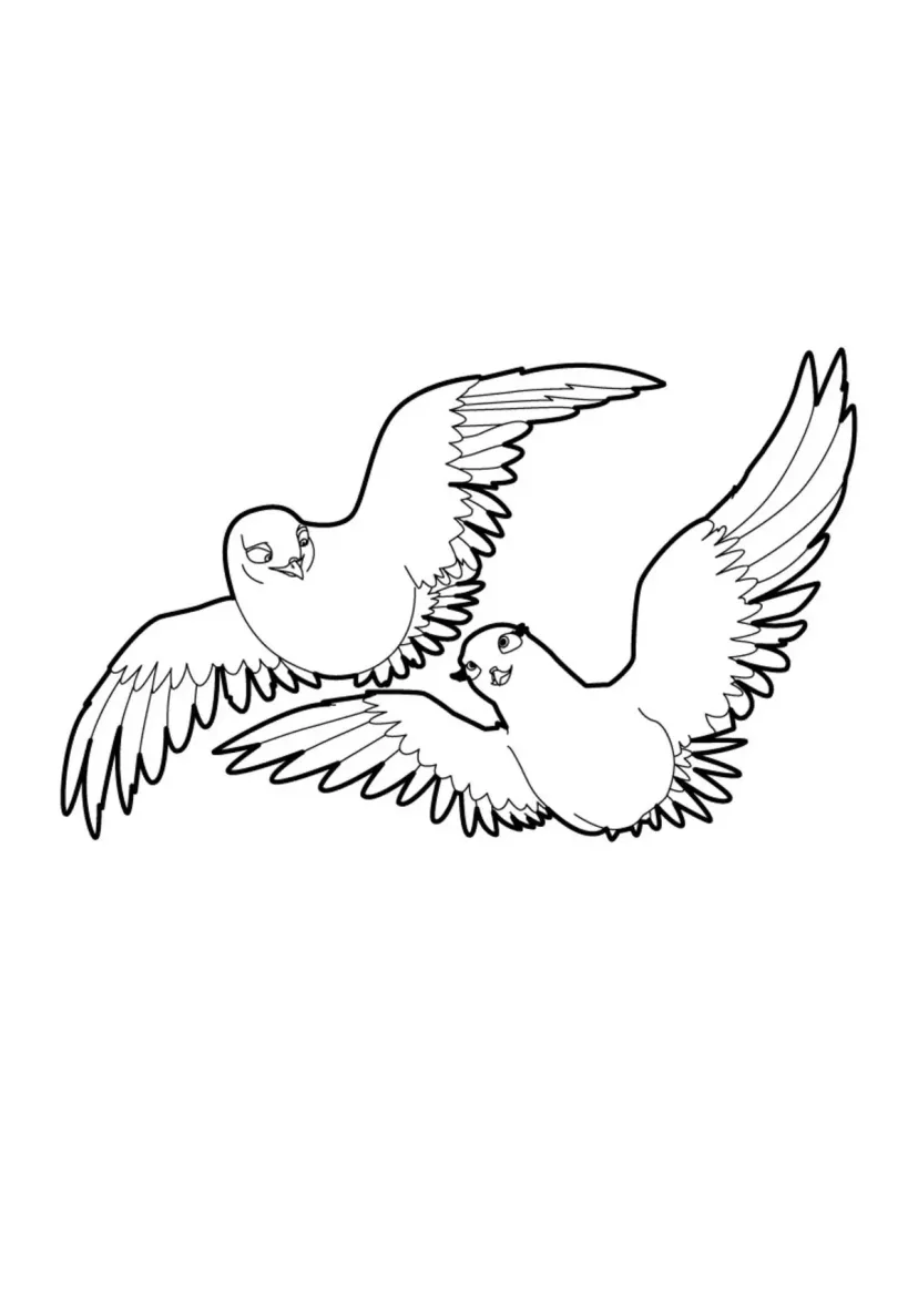 Карло и Карла