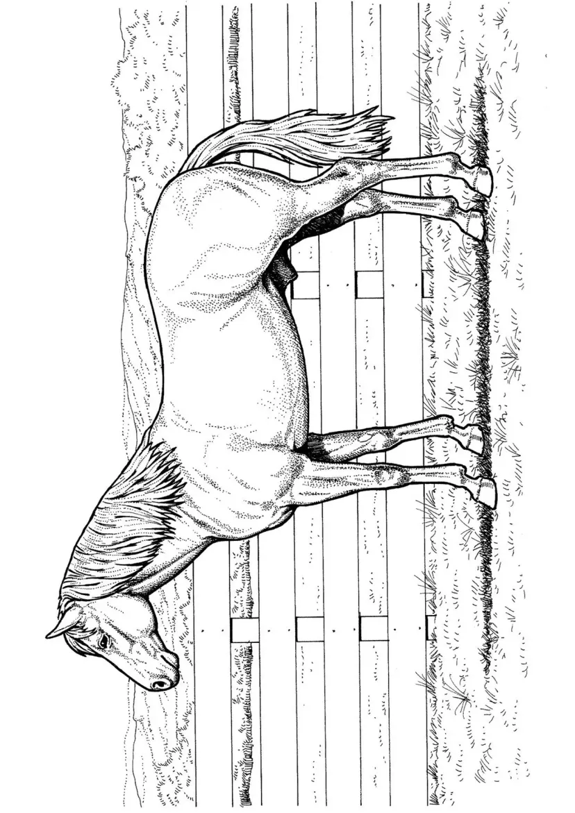 Конь
