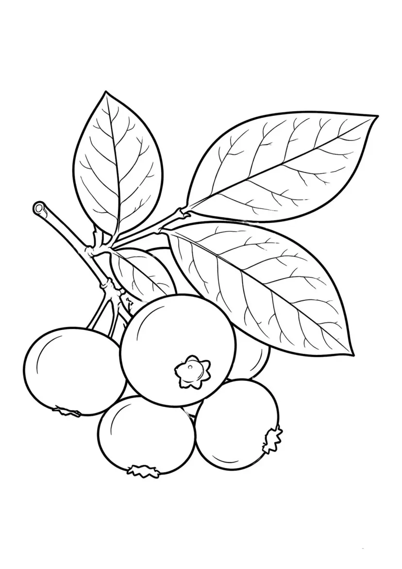 Черника