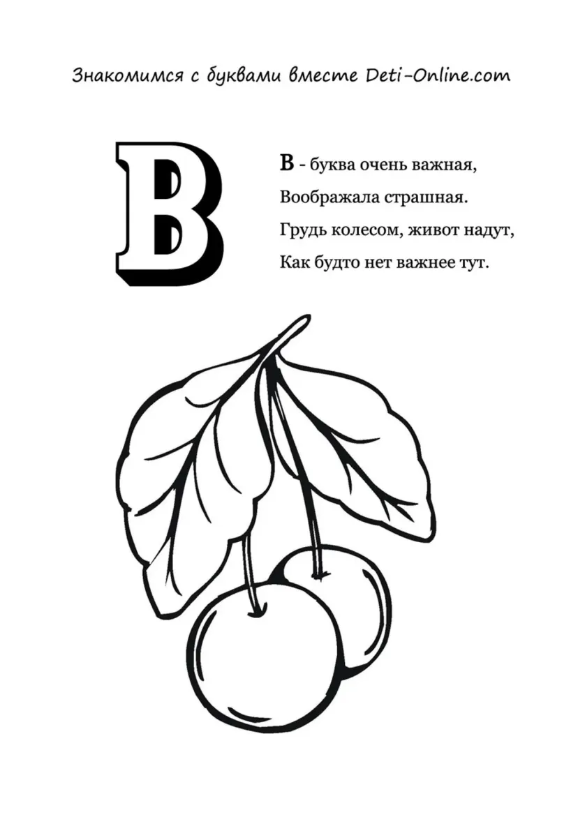 Буква В - Вишни
